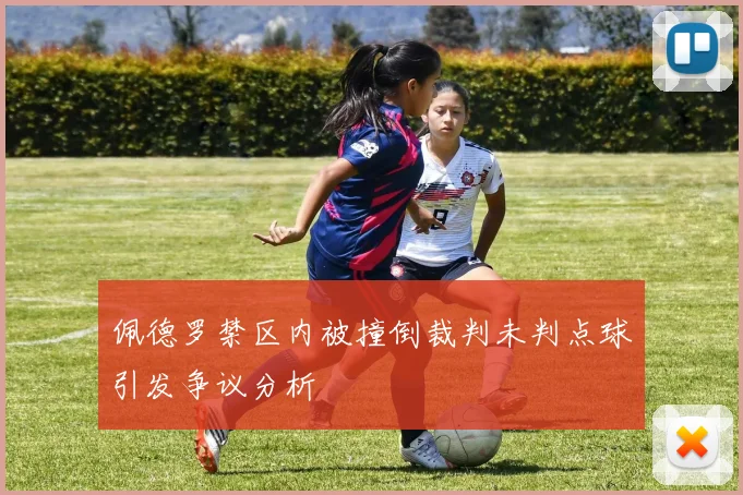 佩德罗禁区内被撞倒裁判未判点球引发争议分析