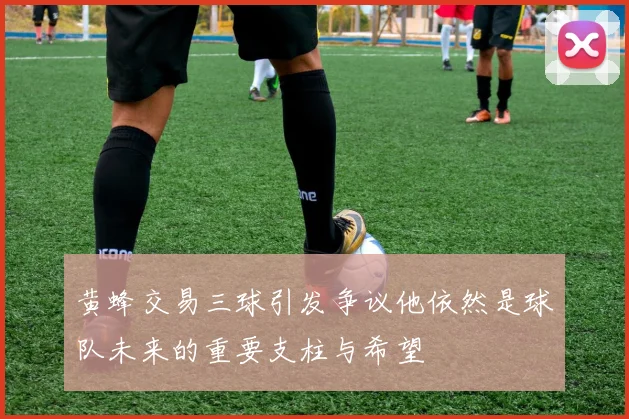 黄蜂交易三球引发争议他依然是球队未来的重要支柱与希望
