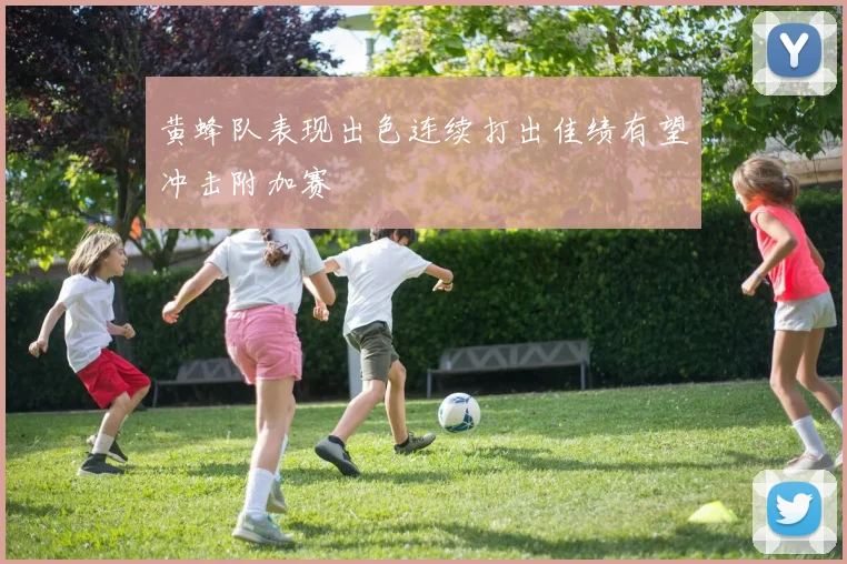 黄蜂队表现出色连续打出佳绩有望冲击附加赛